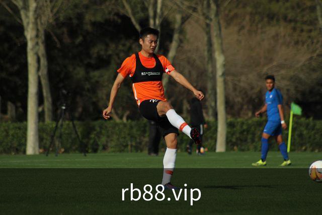 rb88.vip公司简介图片